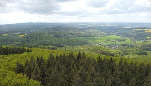 Höchste Erhebung im Naturpark Rhein-Taunus soll eine Attraktion erhalten