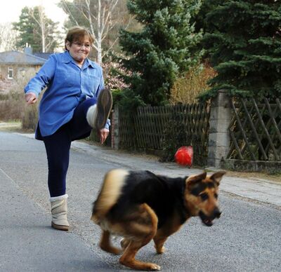 Frau in ihren etwa 60er Jahren, die einen Ball für ihren Hund schießt.