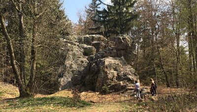Die Quarzklippe „Altenstein“ wird von dem Schriftzug durch die Mitarbeiterinnen der Unteren Naturschutzbehörde befreit.
