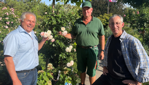 Auf dem Foto sind folgende Personen zu sehen: Mitte: Matthias Horn, Baumschule Curt Hitschke Links: Erster Kreisbeigeordneter Klaus-Peter Willsch, MdB Rechts: Niels Sommer (Bund deutscher Baumschulen – BdB-)