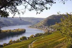 UNESCO Welterbe Mittelrhein bei Lorch